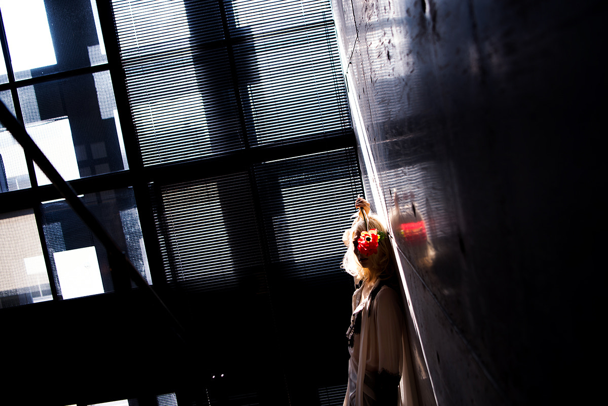 Nikon AF-S Nikkor 24-70mm F2.8E ED VR sample photo. Adonis photography