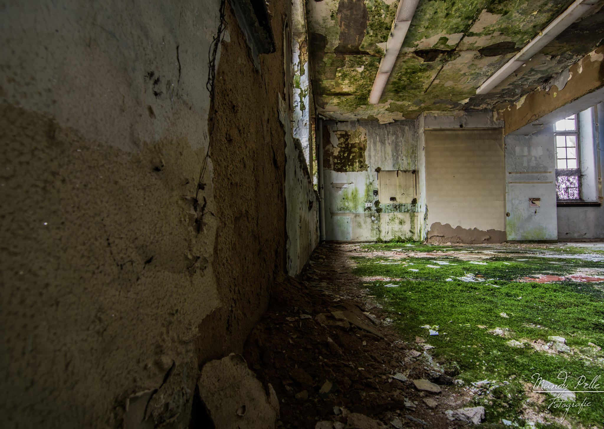 Tokina AT-X Pro 11-16mm F2.8 DX sample photo. The green room photography