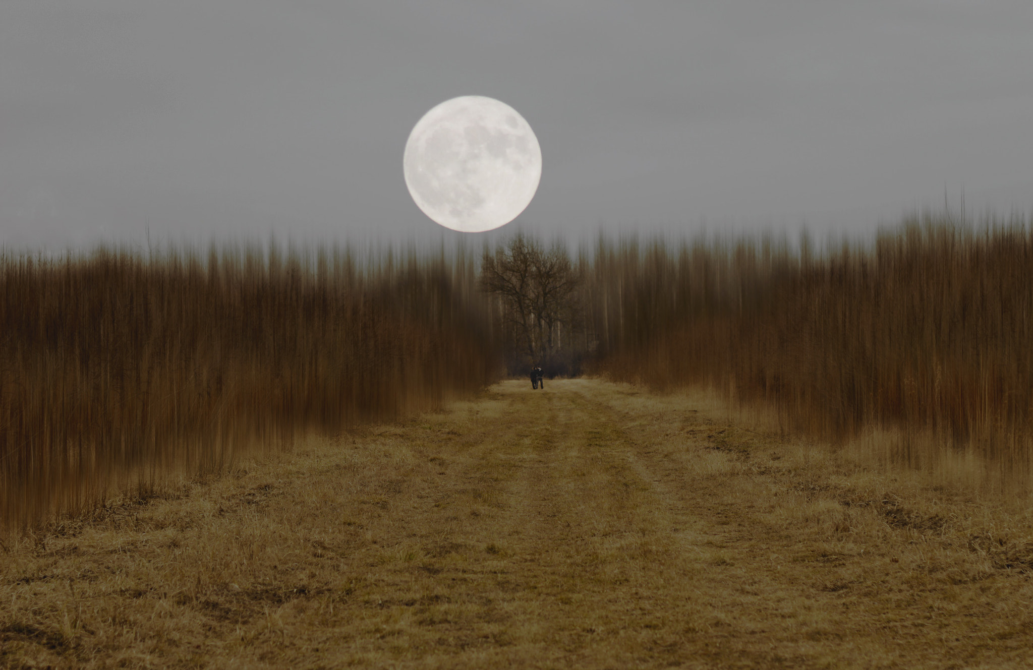Canon EOS 1200D (EOS Rebel T5 / EOS Kiss X70 / EOS Hi) sample photo. Moon photography