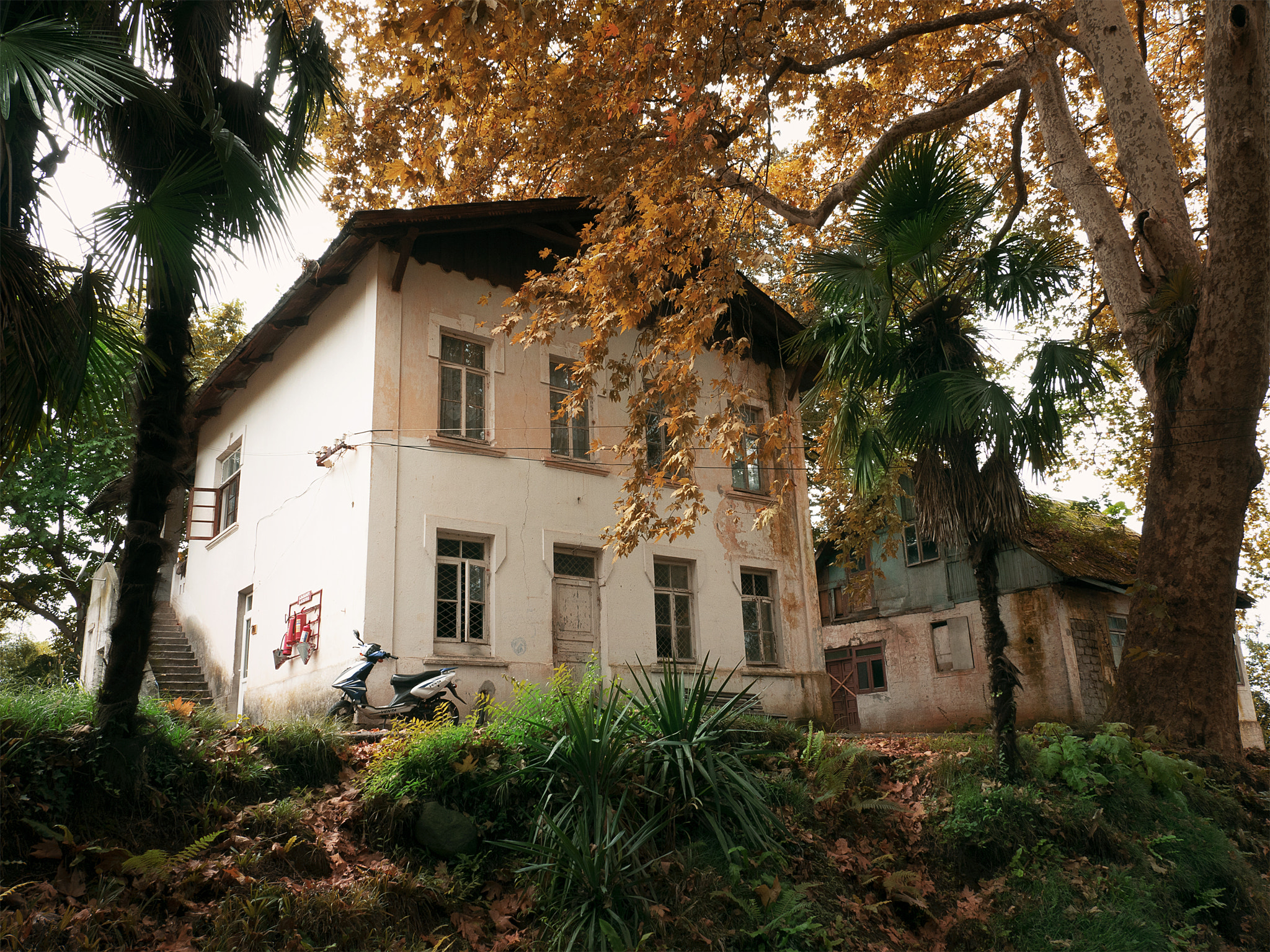 Panasonic Lumix G X Vario 12-35mm F2.8 ASPH Power OIS sample photo. House in the botanical garden photography