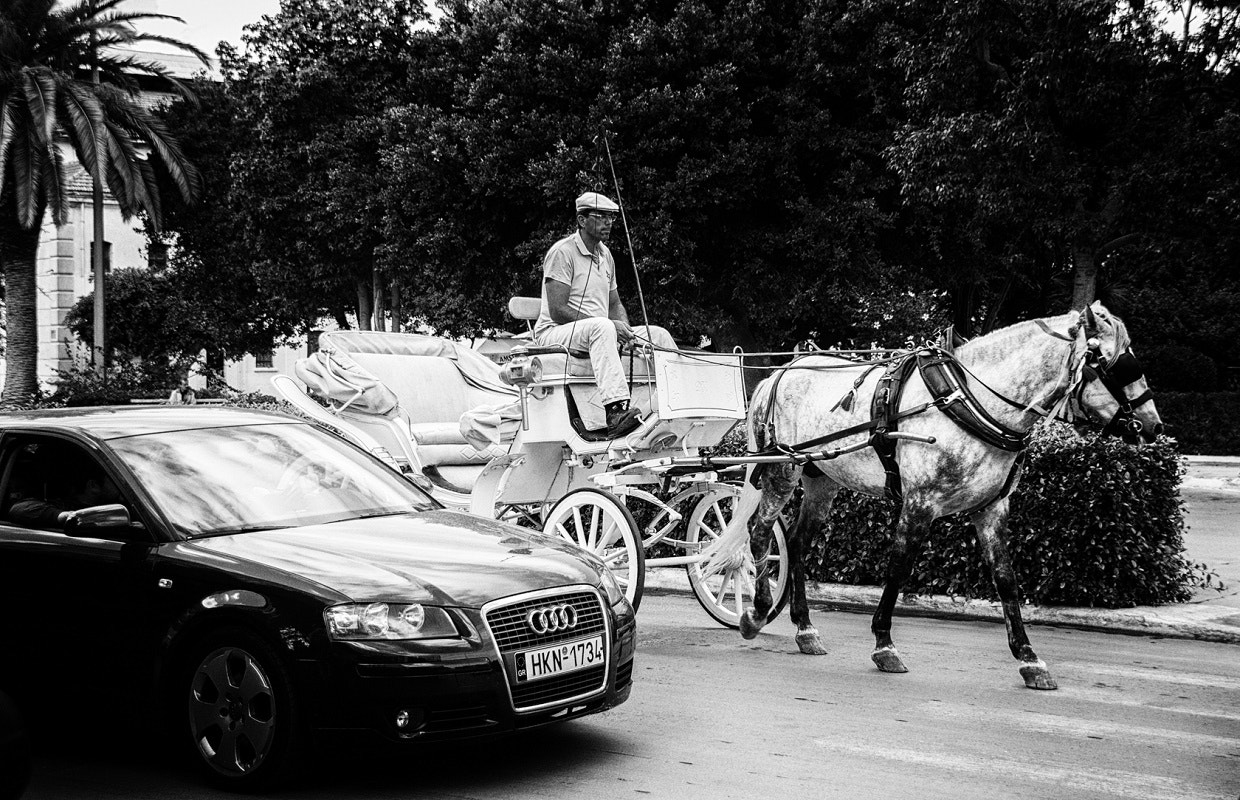 Sigma 18-250mm F3.5-6.3 DC OS HSM sample photo. Horse power photography