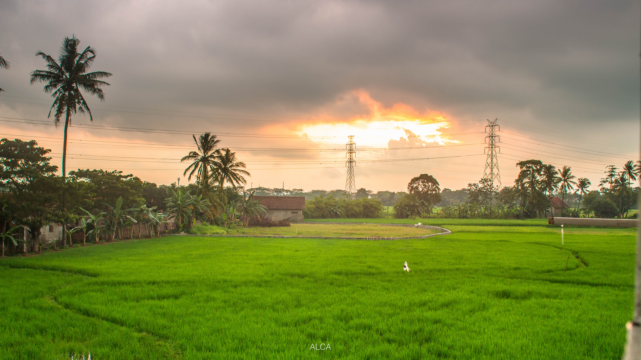 Canon EF 24mm F2.8 sample photo. Land of prosperity photography