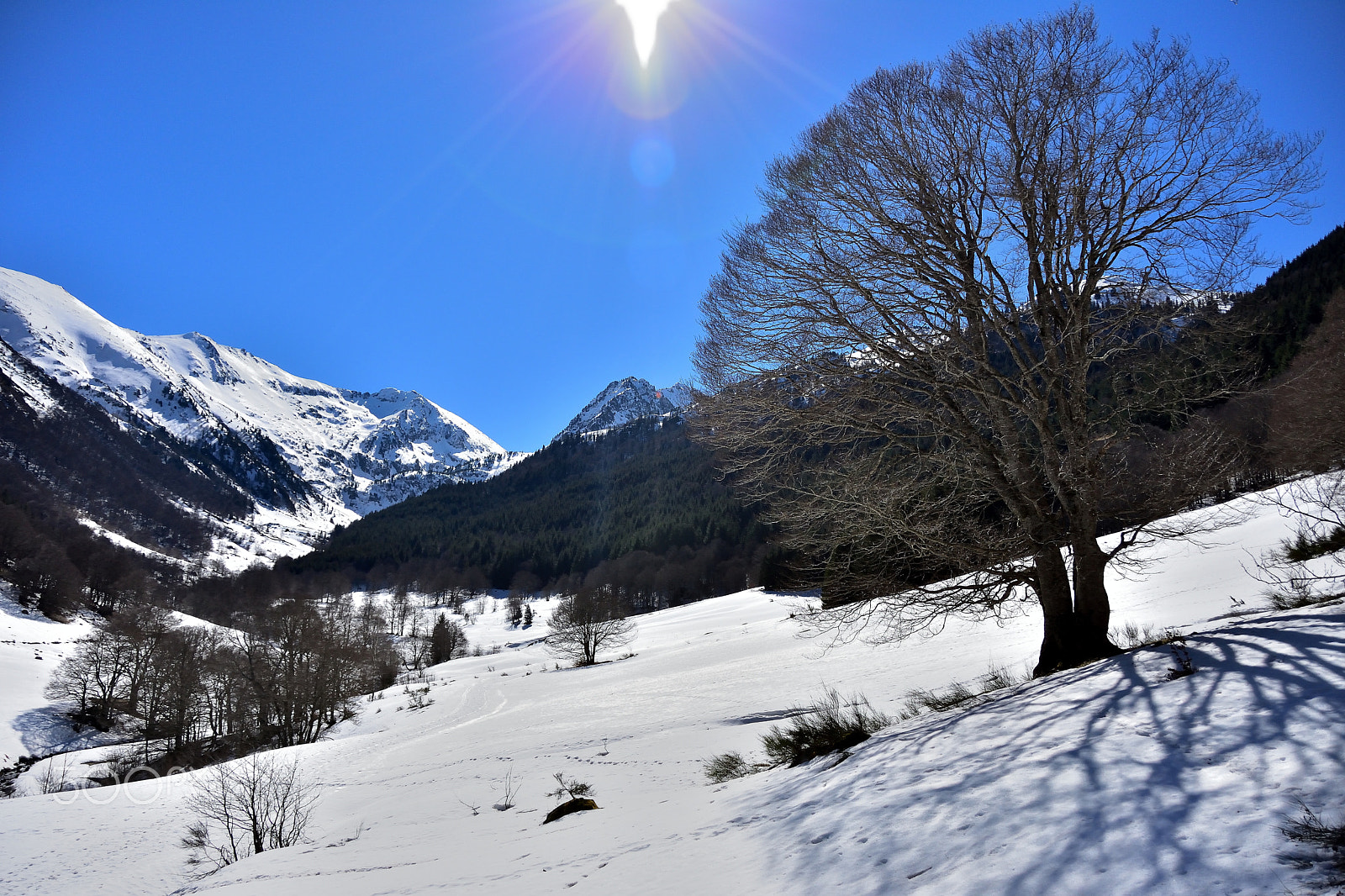 Nikon D7200 sample photo. White and blue photography