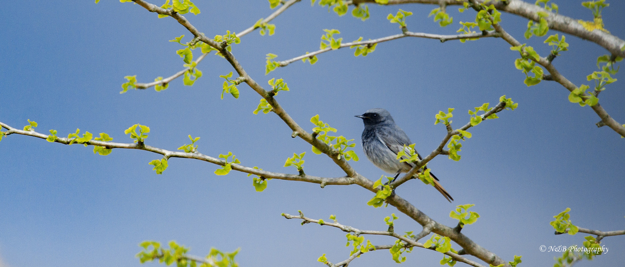 Canon EF 100-400mm F4.5-5.6L IS USM sample photo