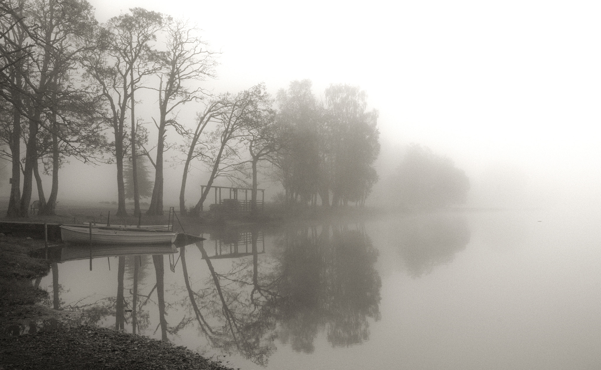 Nikon D300 sample photo. Misty, loch achray photography