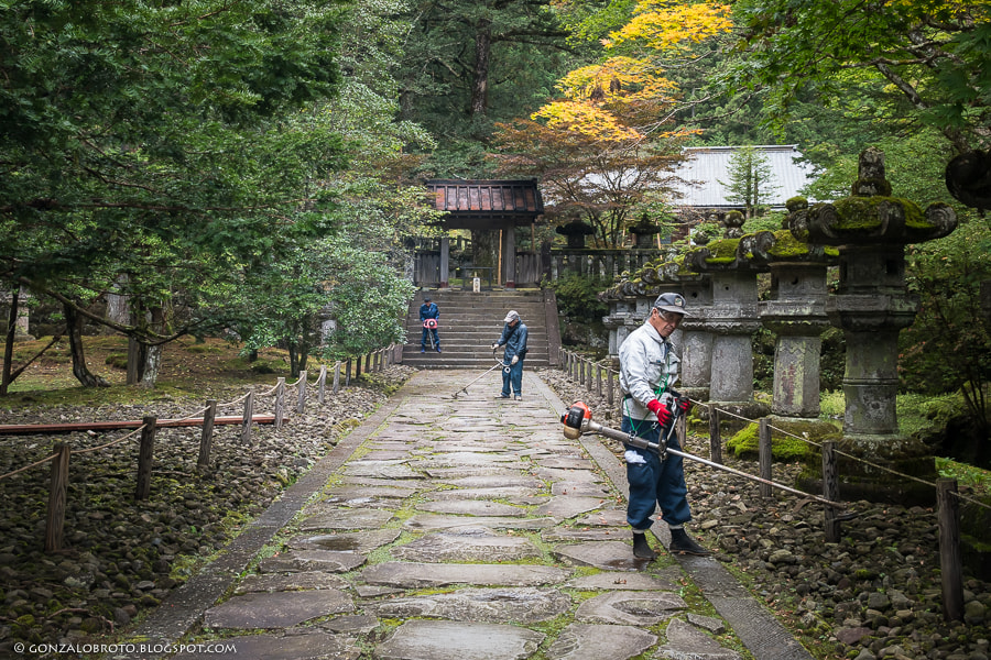 Panasonic Lumix G X Vario 12-35mm F2.8 ASPH Power OIS sample photo. The gardeners photography