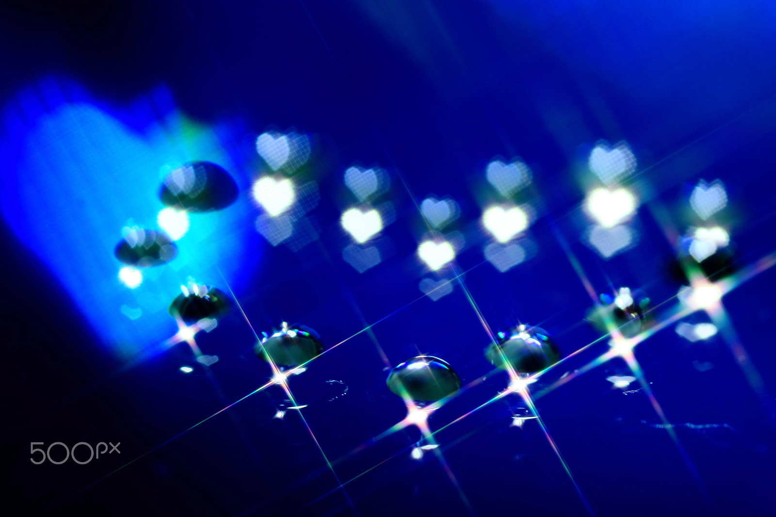 Canon EF 100mm F2.8 Macro USM sample photo. Blue hearts photography