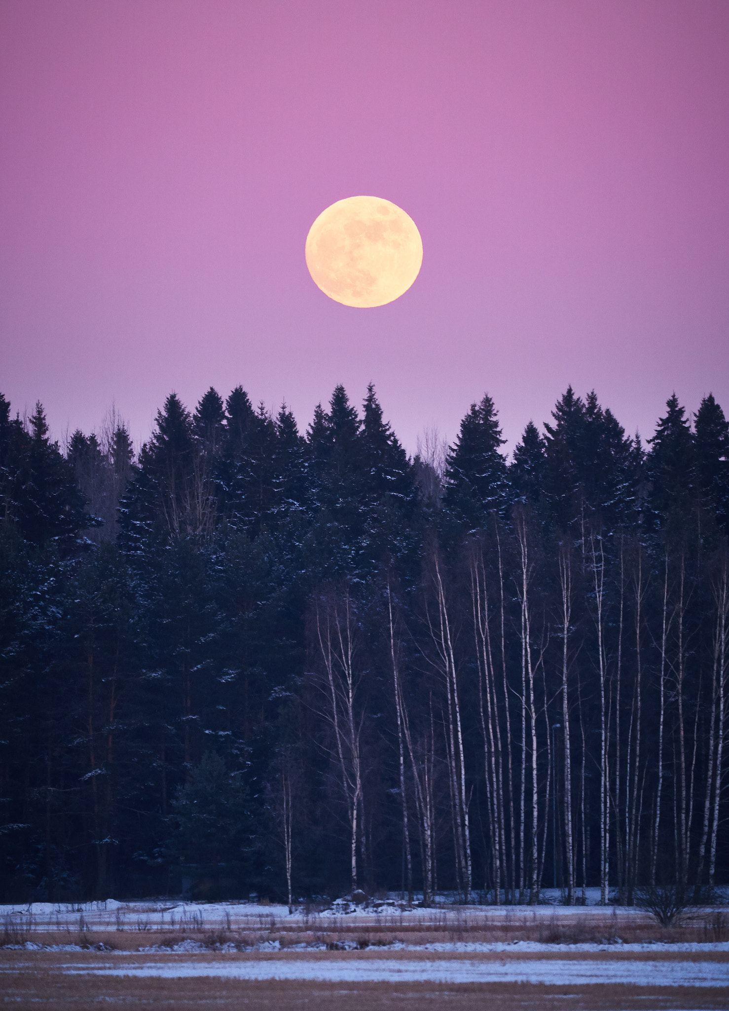 Olympus OM-D E-M5 II + Olympus M.Zuiko Digital ED 40-150mm F2.8 Pro sample photo. Moon above the forest at night photography