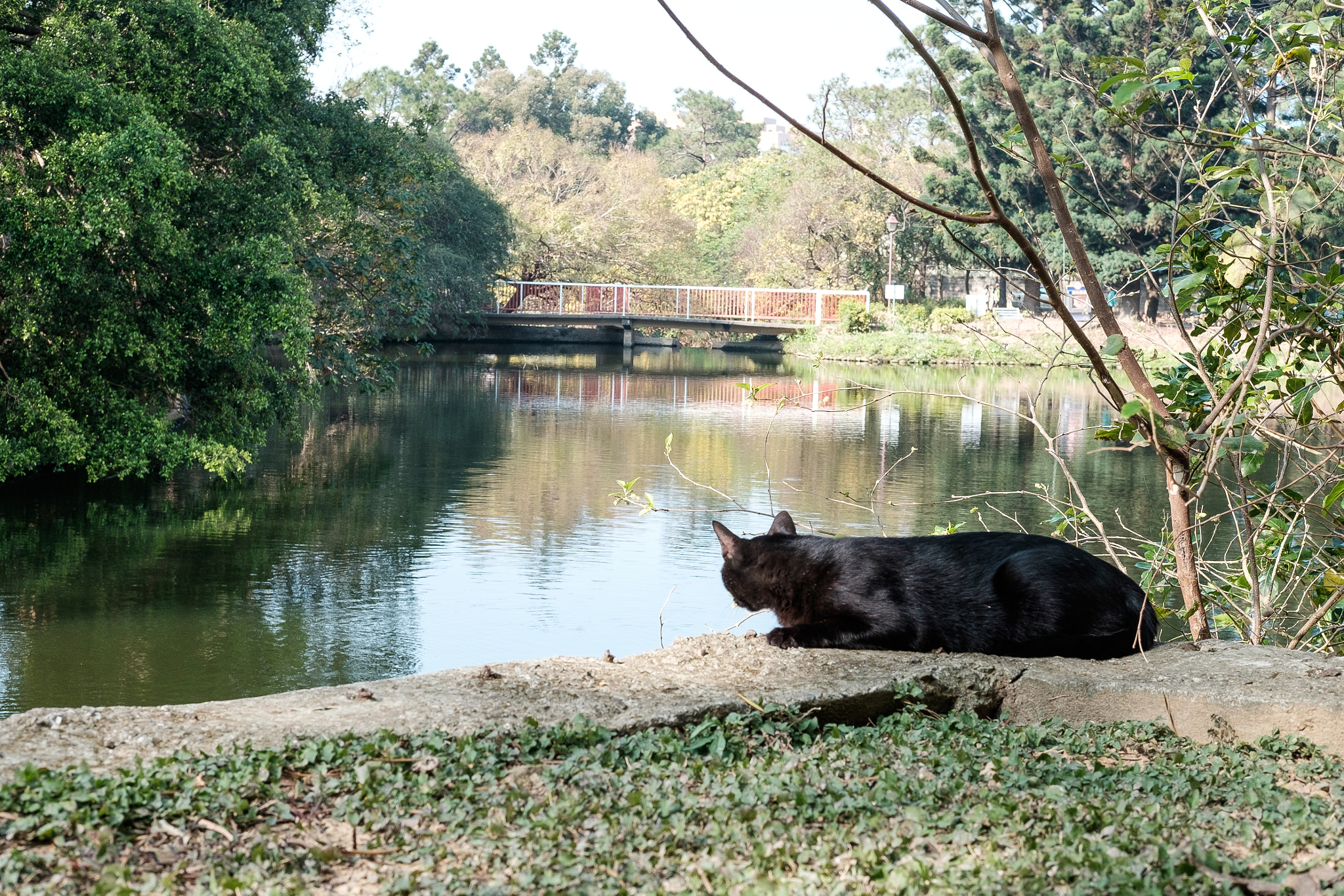 Fujifilm X-T10 + Fujifilm XF 35mm F2 R WR sample photo. Dscf7517-1.jpg photography