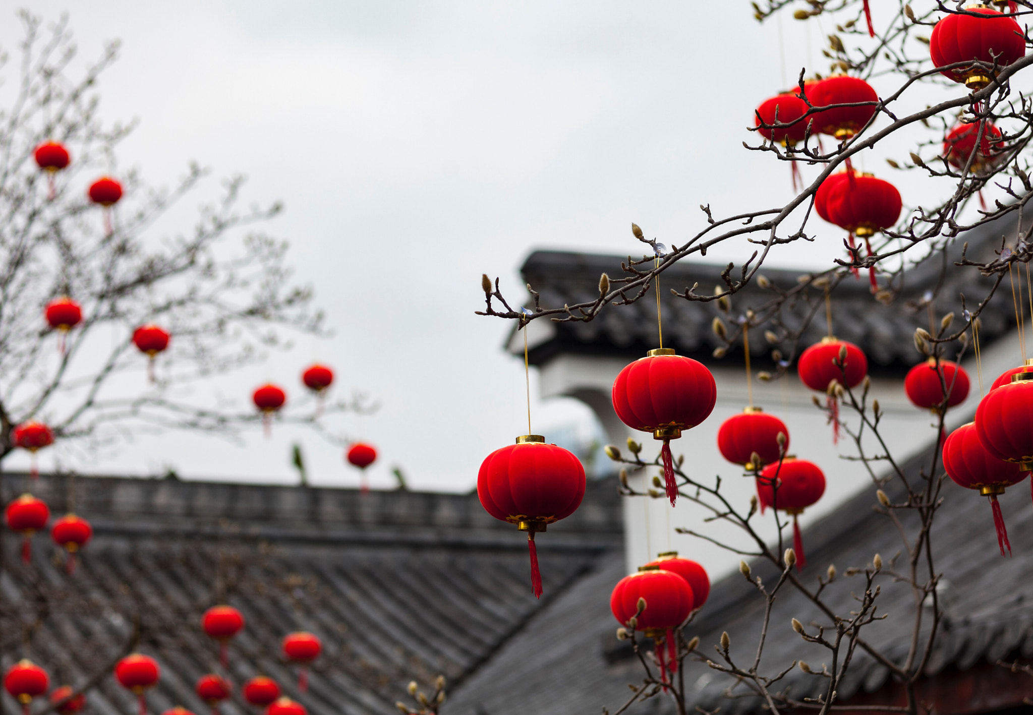 Canon EF 28-70mm f/3.5-4.5 sample photo. 节日气氛 photography