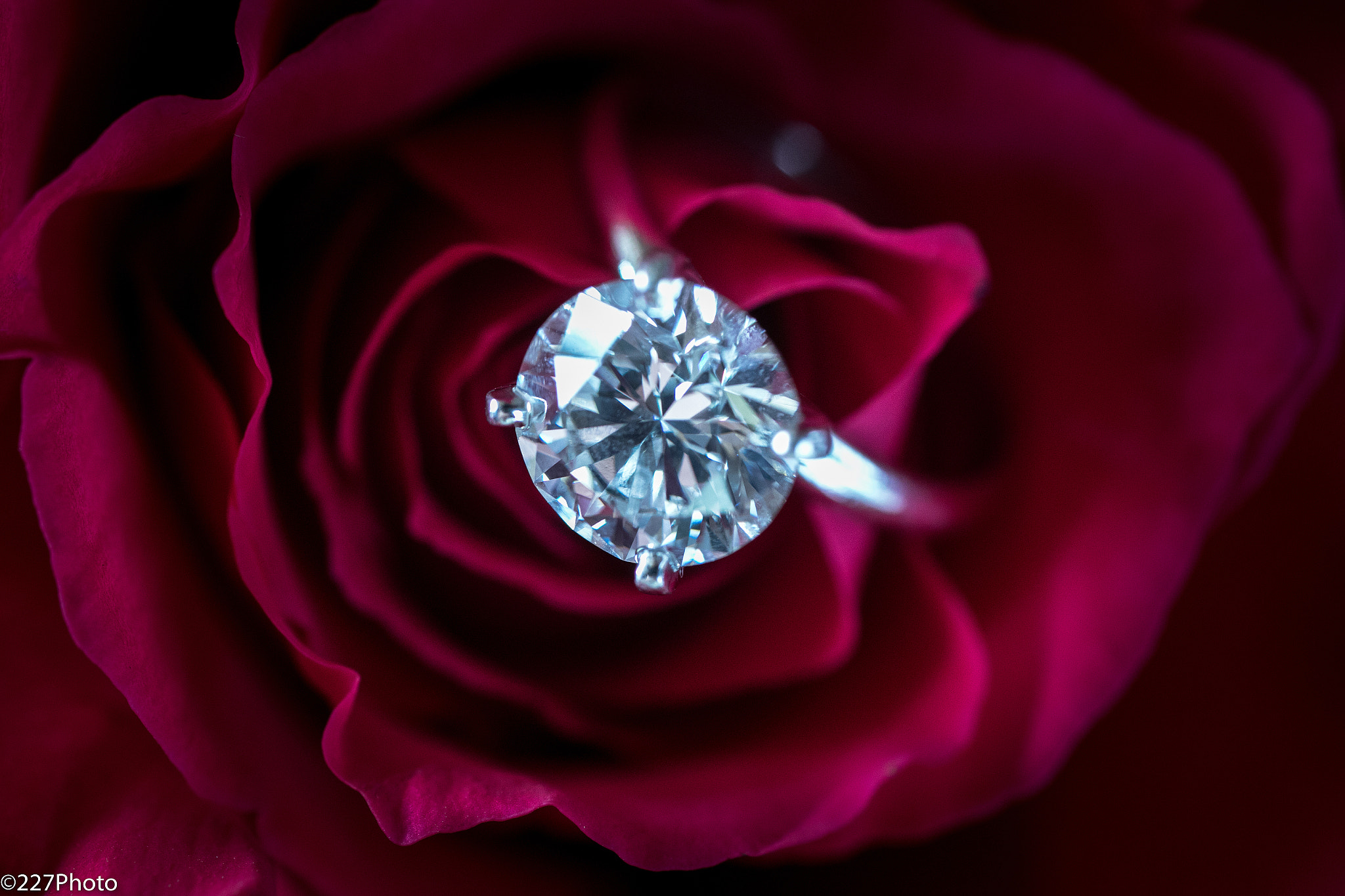 Sigma 50mm f/2.8 EX sample photo. Shine bright photography