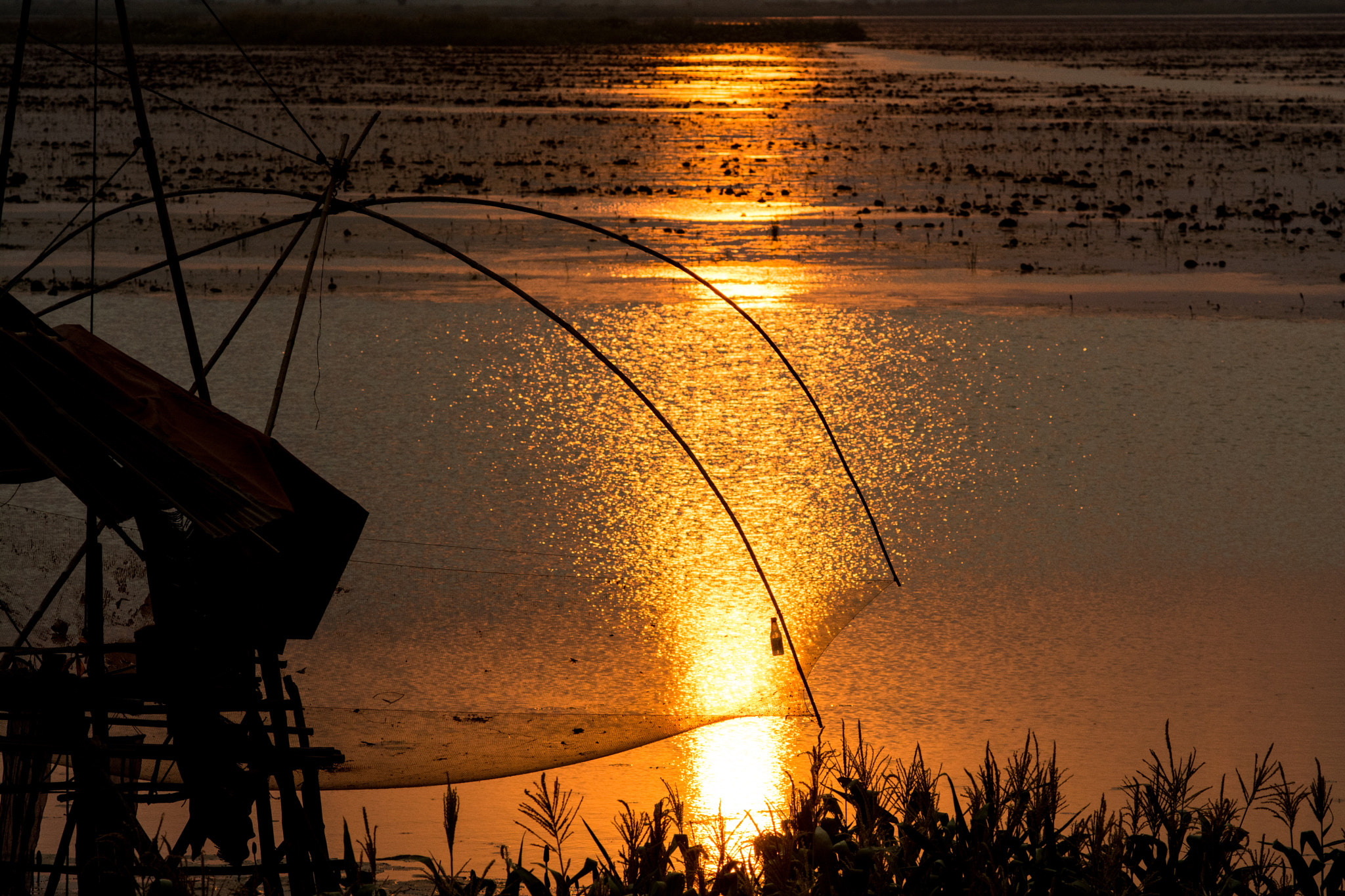 Nikon AF-Nikkor 80-200mm F2.8D ED sample photo. Fishing on the red lotus lake photography