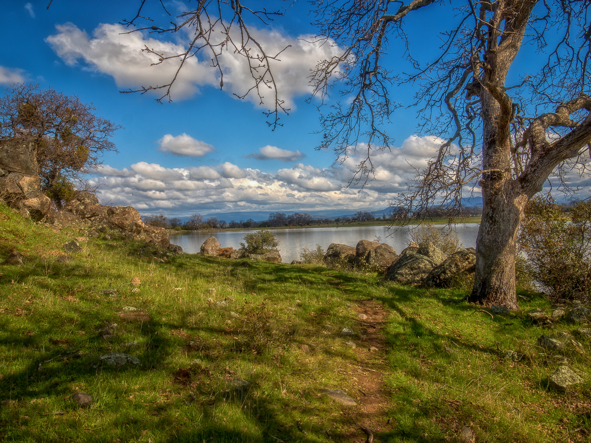 Olympus OM-D E-M5 II + Olympus M.Zuiko Digital ED 7-14mm F2.8 PRO sample photo. Spring is coming photography