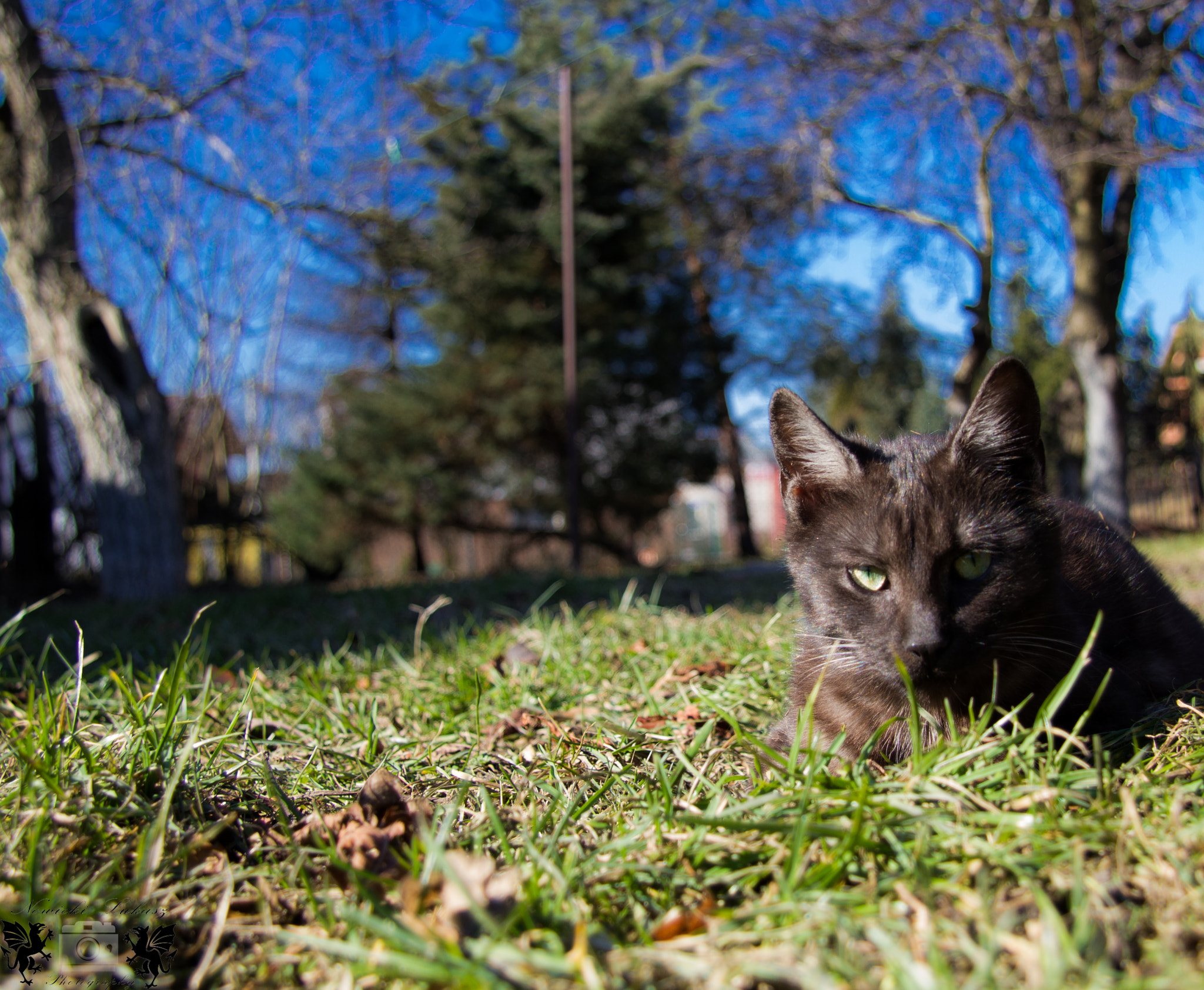 Canon EF-S 17-85mm F4-5.6 IS USM sample photo. Foto photography