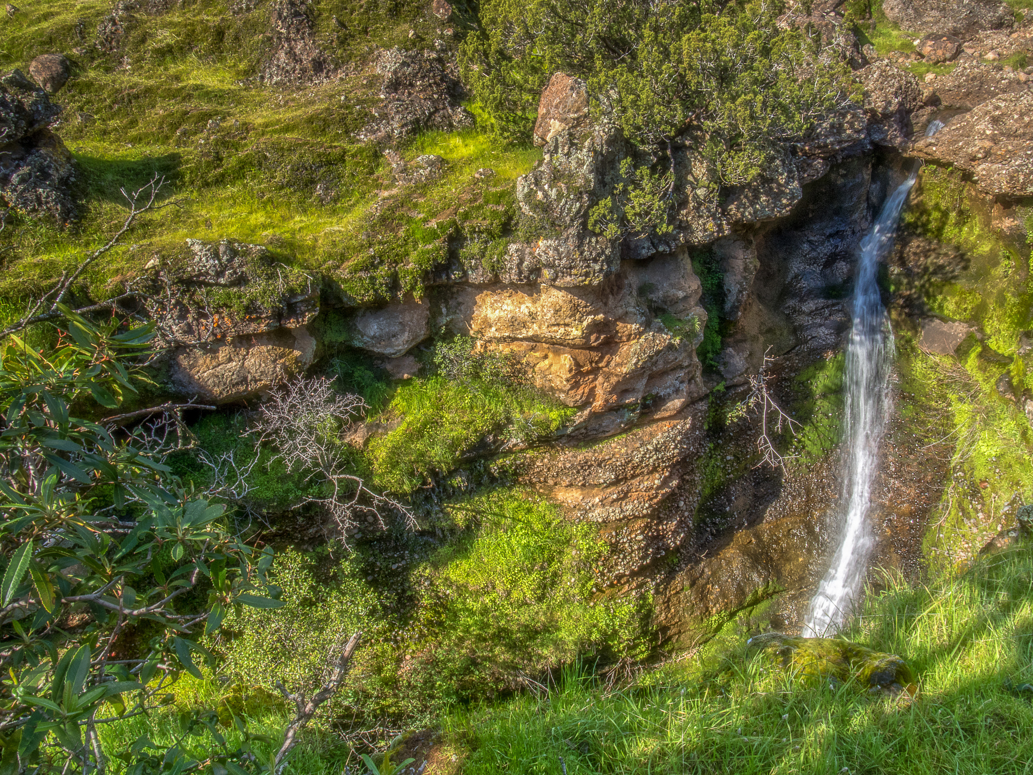 Olympus OM-D E-M5 II + Olympus M.Zuiko Digital ED 7-14mm F2.8 PRO sample photo. Turtle creek falls photography