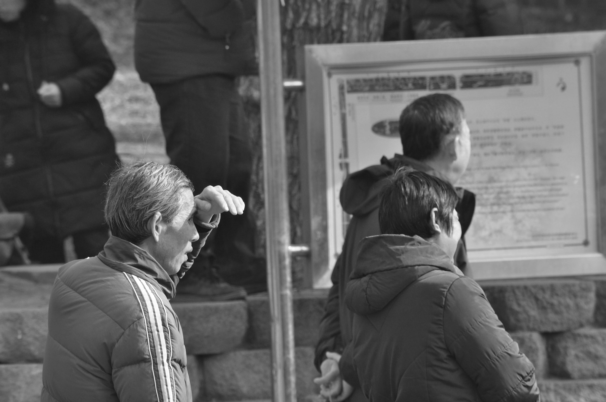 Nikon D5000 sample photo. Dsc_0124-2.jpg photography