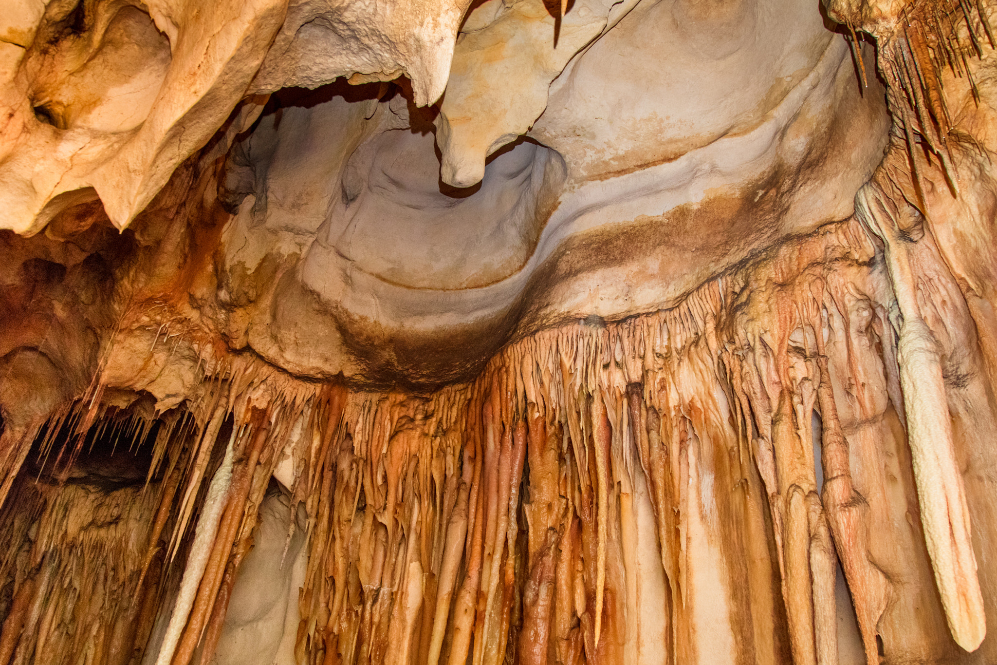 Canon EOS 5DS + Canon EF 24-105mm F4L IS USM sample photo. Princess margaret rose cave photography