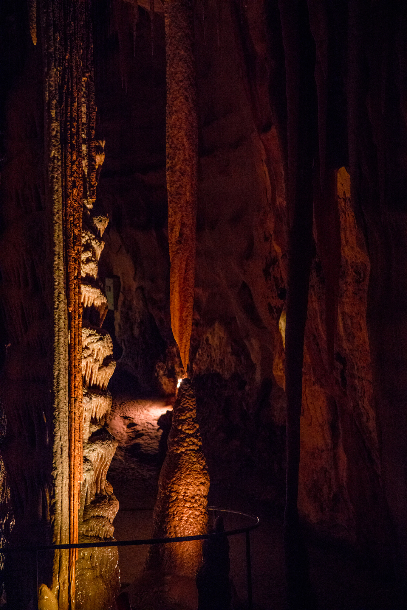 Canon EOS 5DS + Canon EF 24-105mm F4L IS USM sample photo. Princess margaret rose cave photography