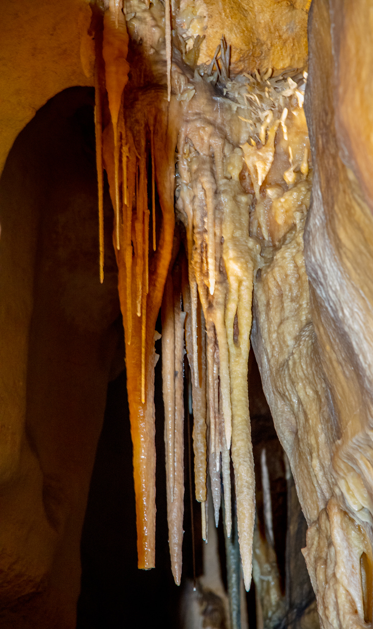 Canon EOS 5DS + Canon EF 24-105mm F4L IS USM sample photo. Princess margaret rose cave photography