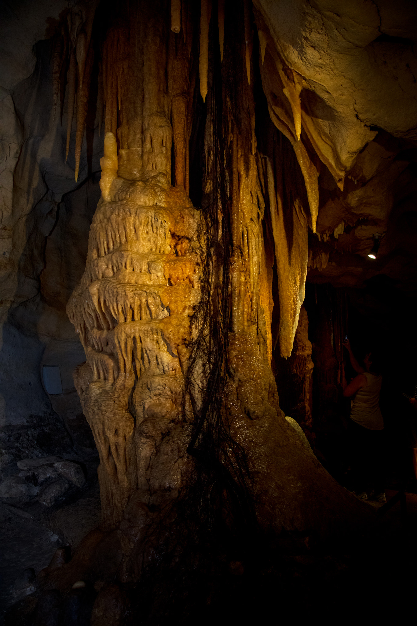 Canon EOS 5DS + Canon EF 24-105mm F4L IS USM sample photo. Princess margaret rose cave photography