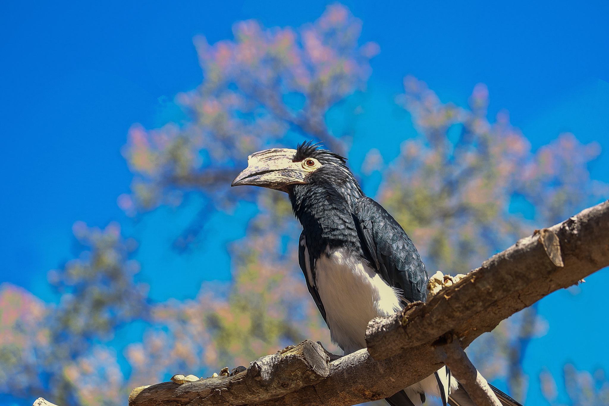 Sony 70-400mm F4-5.6 G SSM II sample photo. Tree line view photography