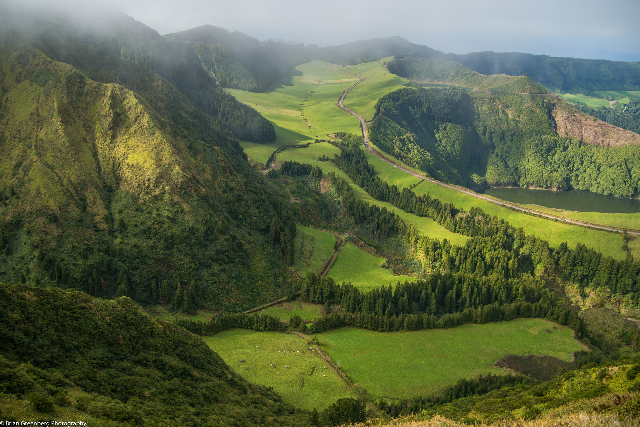 Sony a99 II sample photo. 50 shades of green photography