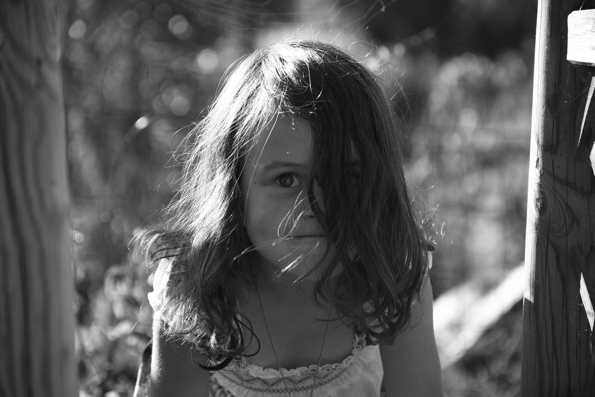 Canon EOS 500D (EOS Rebel T1i / EOS Kiss X3) sample photo. Yannvdpk@gmail com photography