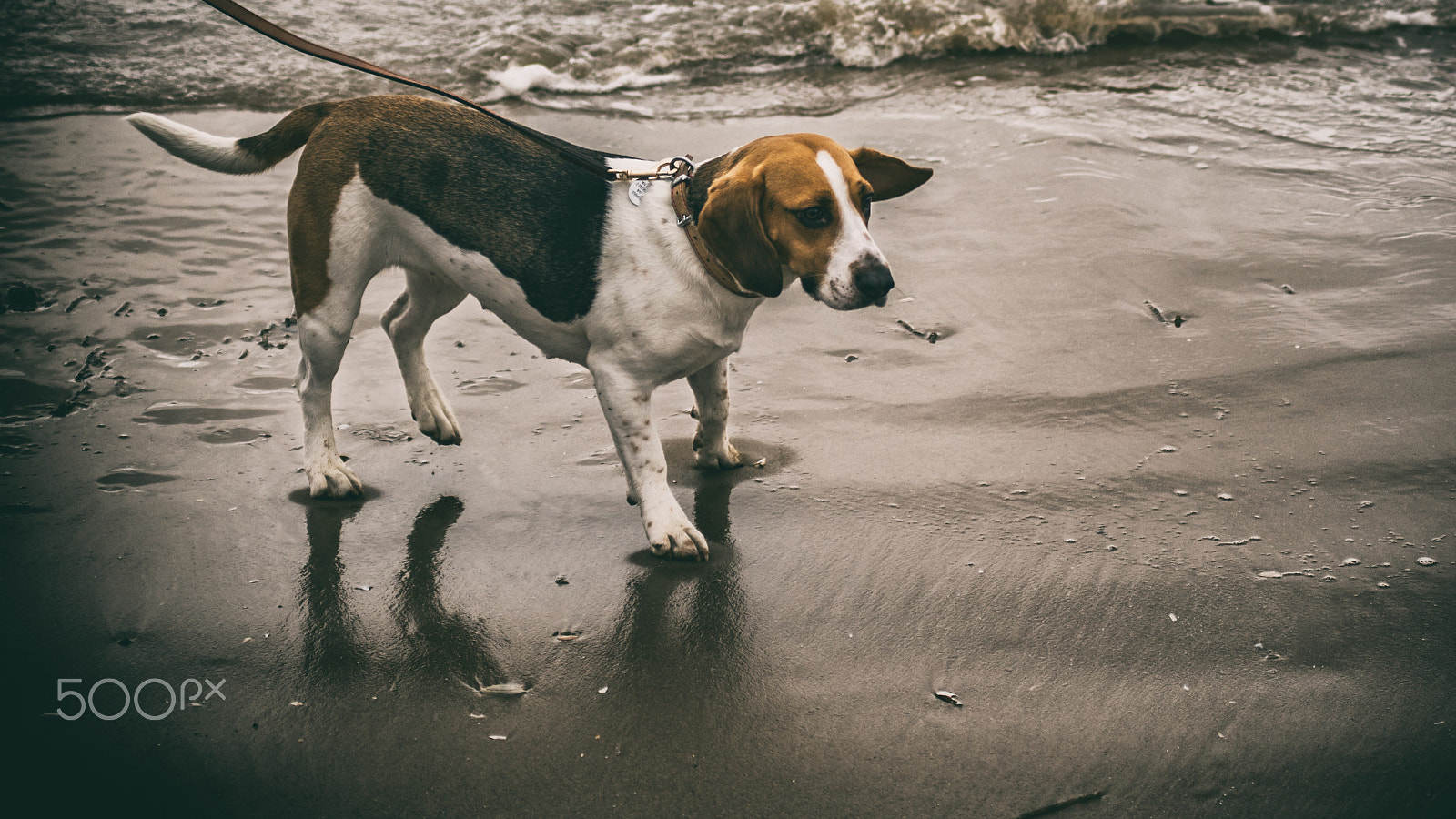 Minolta AF 70-210mm F4 Macro sample photo. Trip to the beach photography