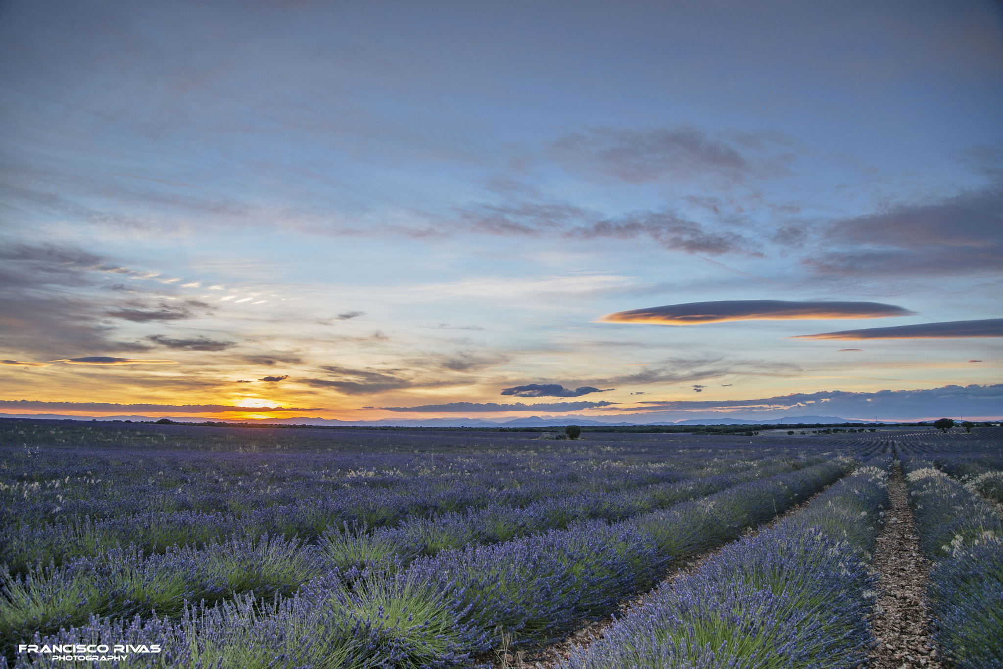 Nikon D800 sample photo. Dsc photography