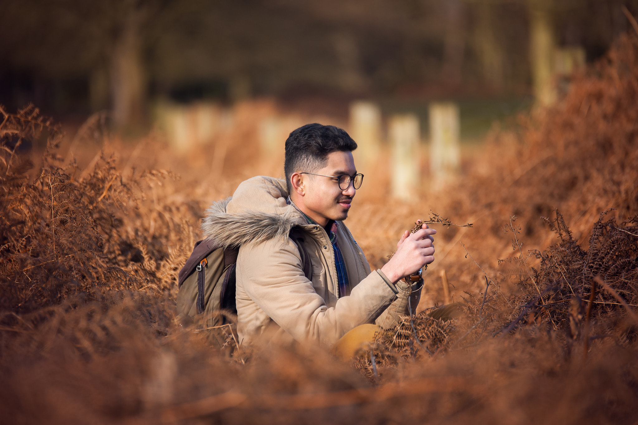 Nikon D700 + Sigma 18-200mm F3.5-6.3 DC OS HSM sample photo. Last autumn photography