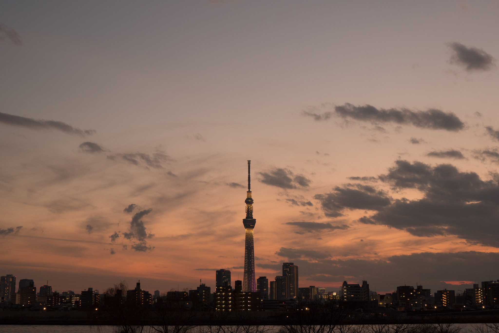 Sony a6300 + Sony Distagon T* FE 35mm F1.4 ZA sample photo. Tokyo sunset photography