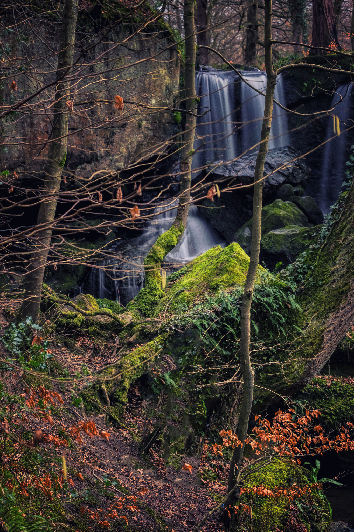 Fujifilm X-T1 sample photo. The waterfall in the woods photography