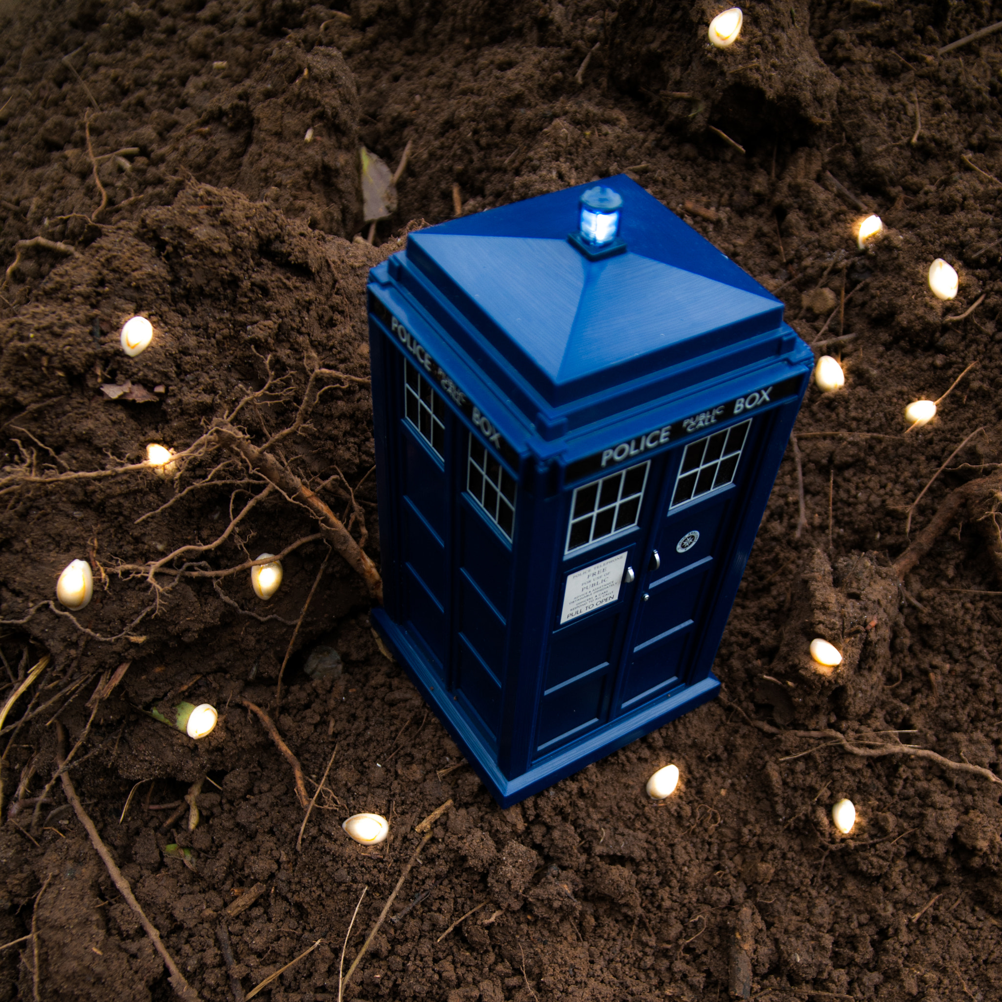 Nikon D300 + Sigma 17-70mm F2.8-4.5 DC Macro Asp. IF sample photo. Tardis 8 photography