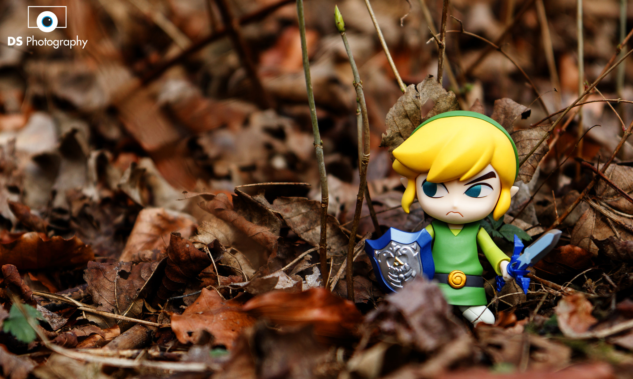 Canon EOS 760D (EOS Rebel T6s / EOS 8000D) sample photo. The legend of zelda 1 photography