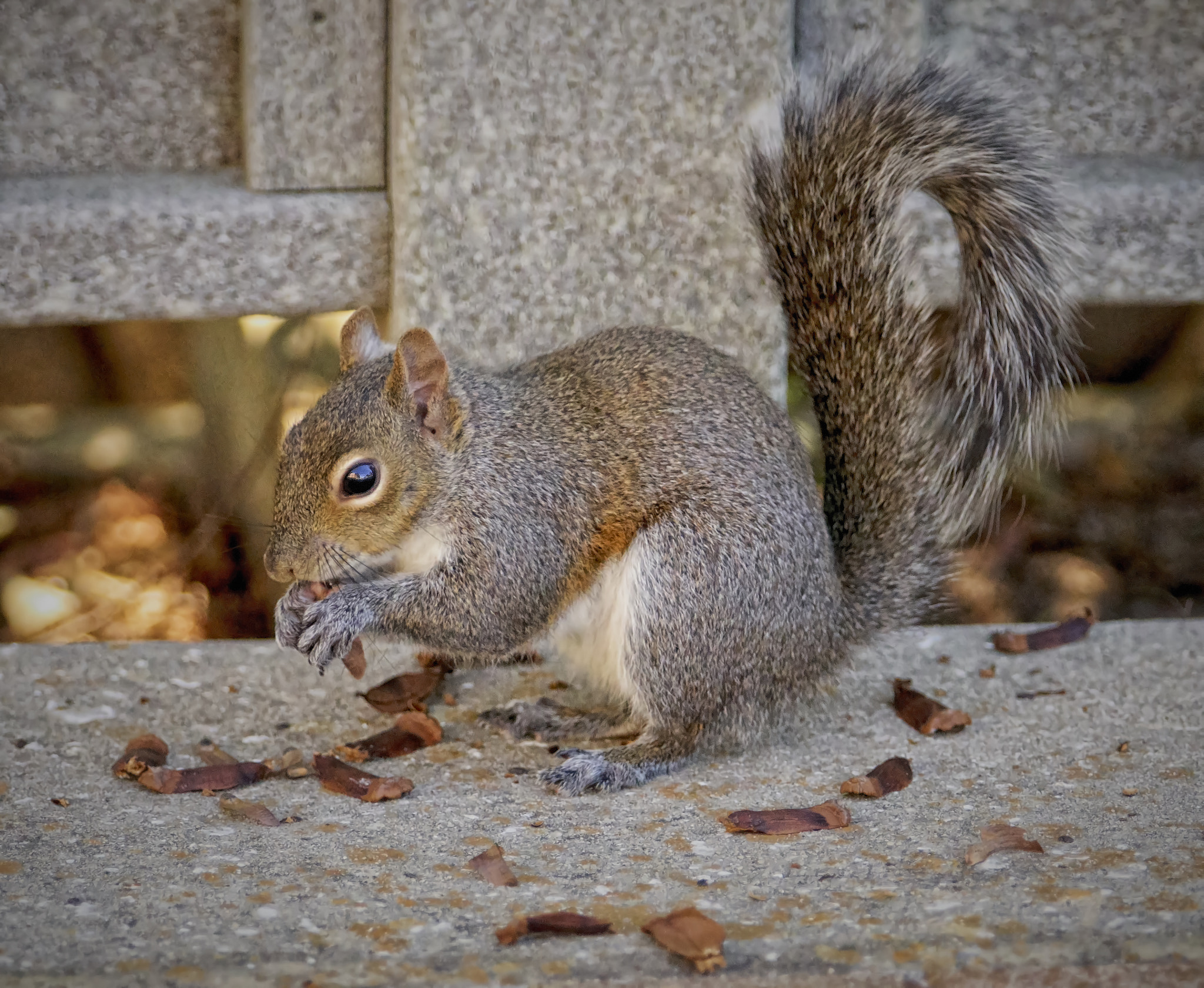 Sony a6300 sample photo. It's snack time photography