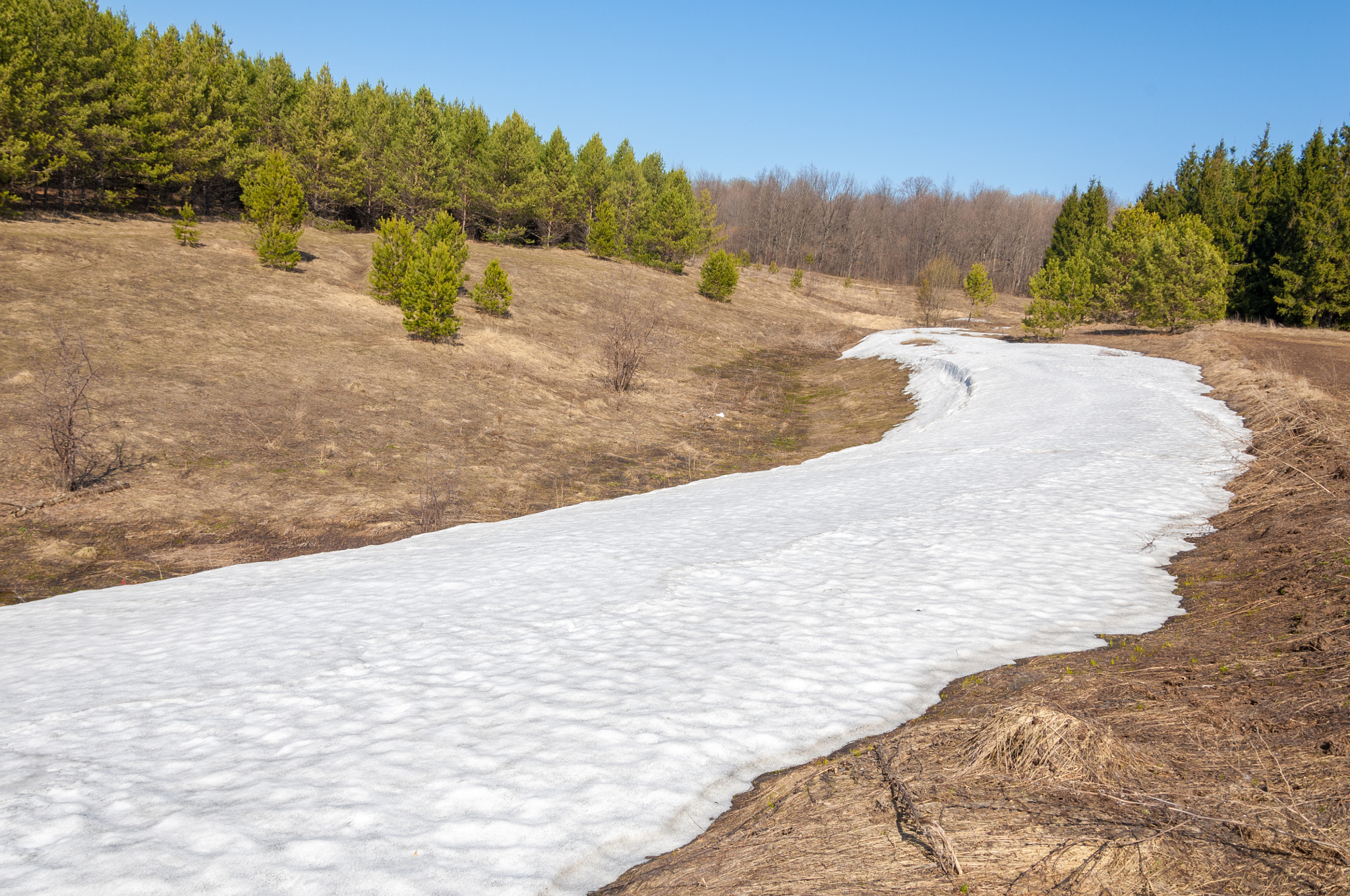 Nikon D2X + Nikon AF-S DX Nikkor 18-105mm F3.5-5.6G ED VR sample photo. Spring landscape, the last snow in secluded places. bright sun m photography