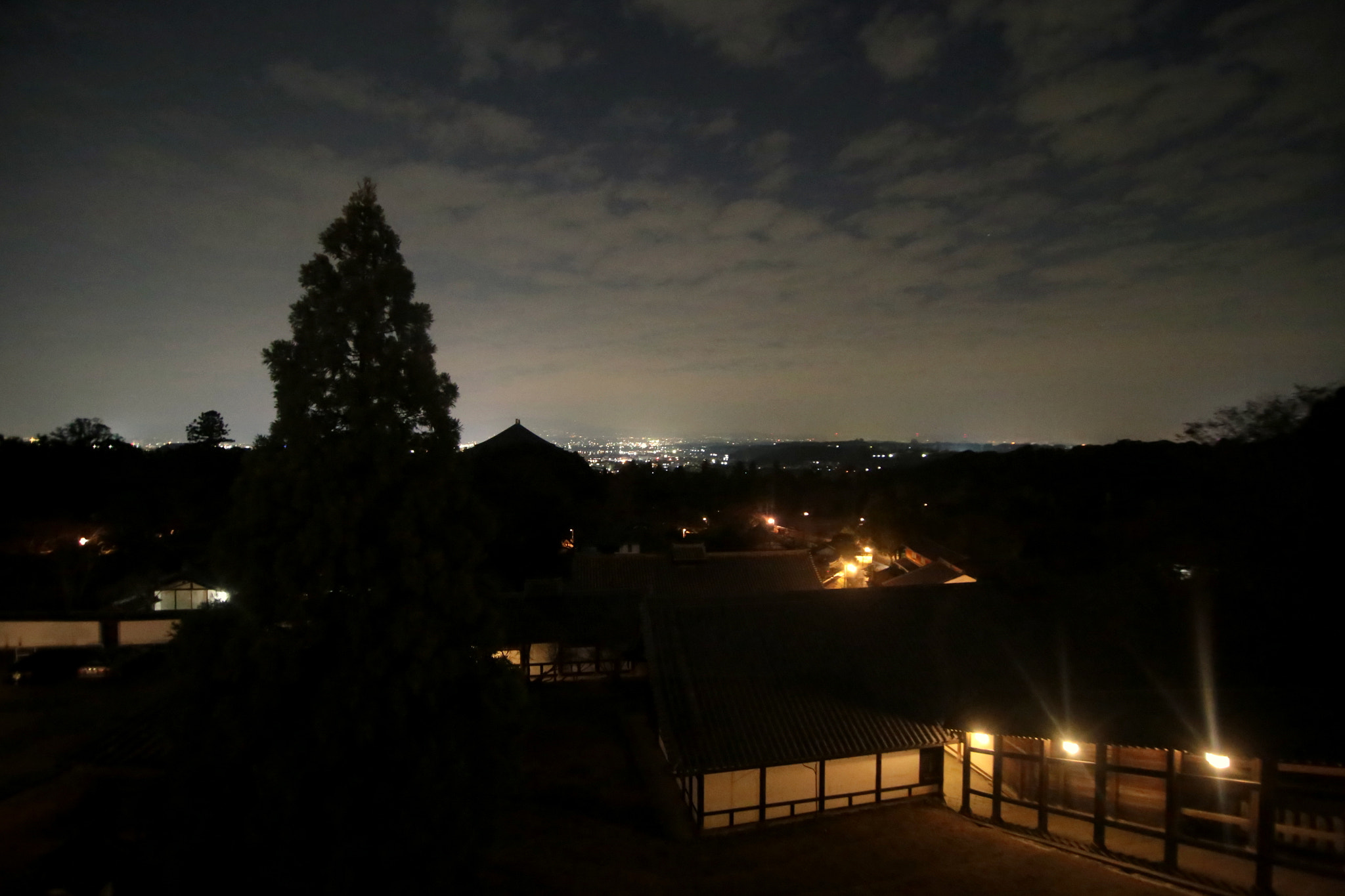 Canon EOS 6D + Tokina AT-X Pro 11-16mm F2.8 DX sample photo. Nara at night 1 photography