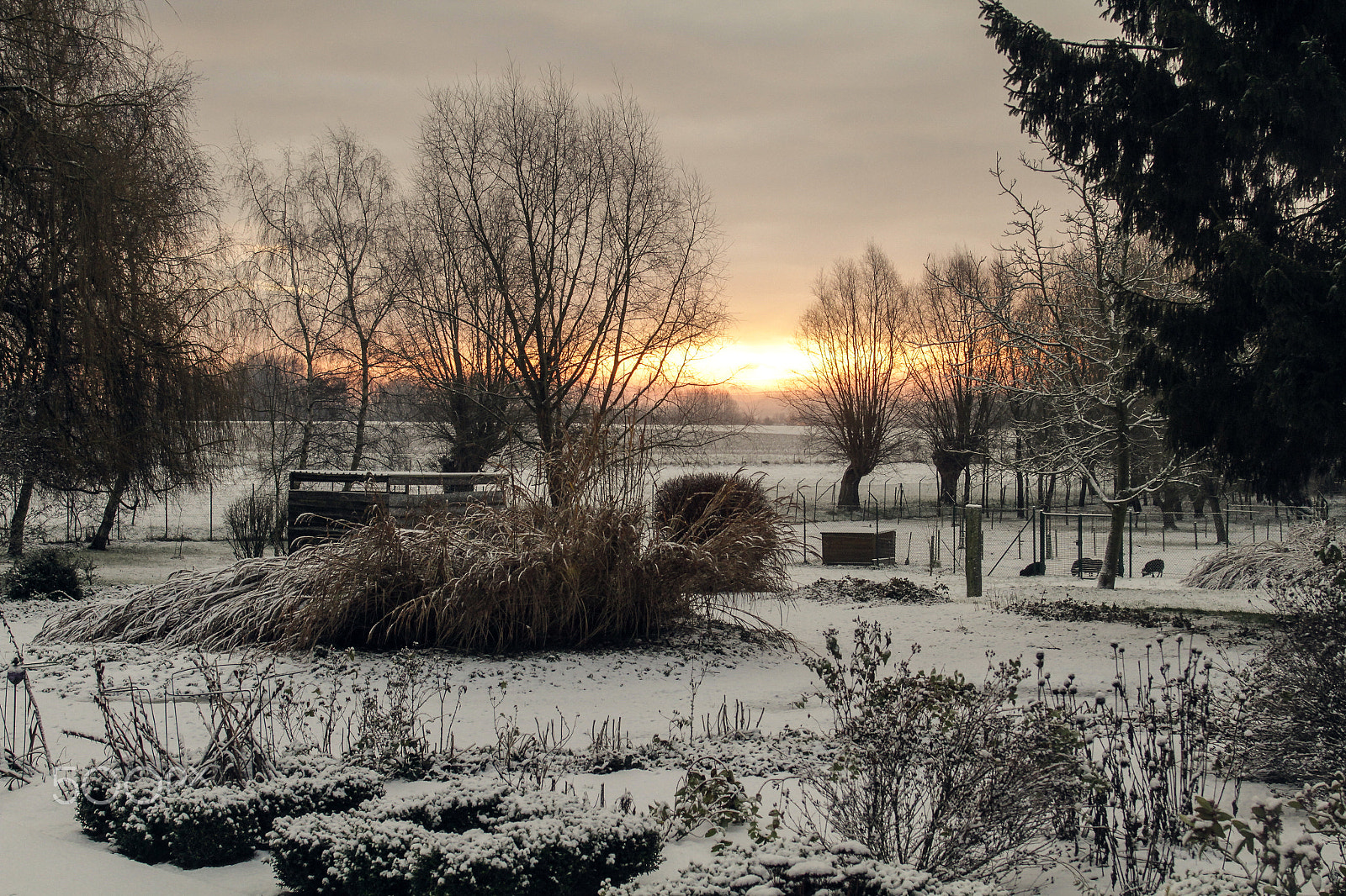 EF28-70mm f/2.8L USM sample photo. Winter morning photography