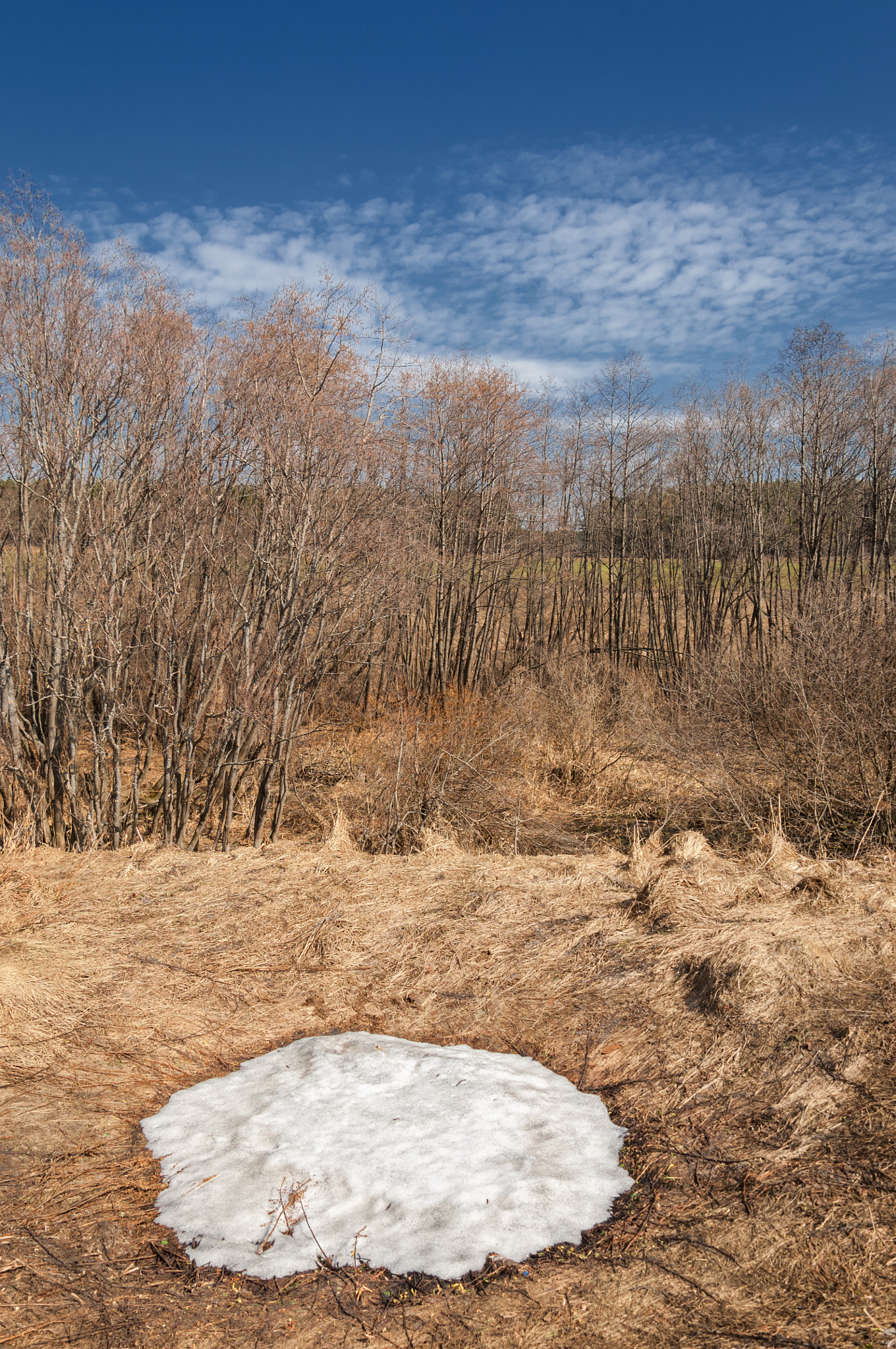 Nikon D2X sample photo. Spring landscape, the last snow in secluded places. bright sun m photography