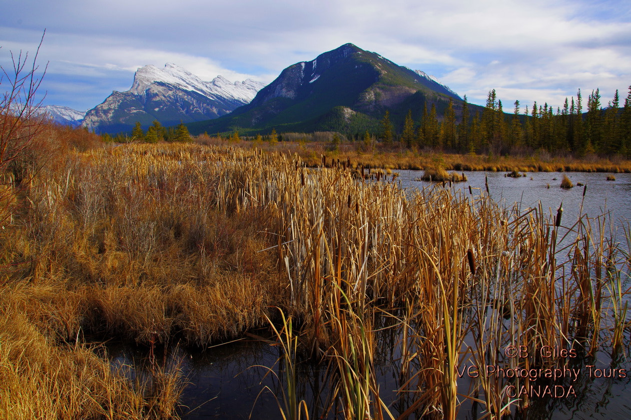 Sigma 18-250mm F3.5-6.3 DC Macro OS HSM sample photo. Vermilion lakes fall photography