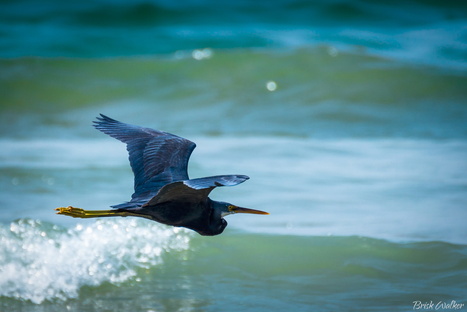 Nikon D600 sample photo. Late for work ! photography