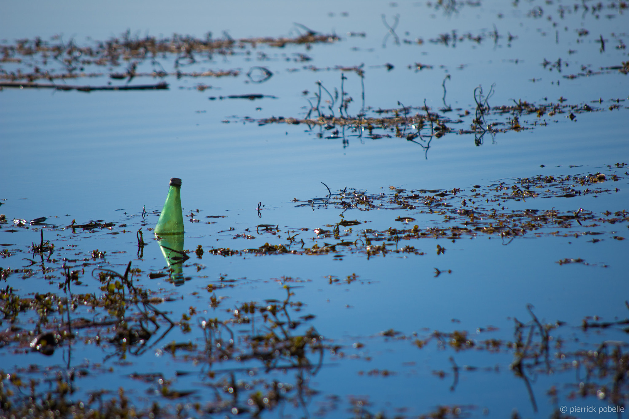 Nikon D7200 sample photo. Waste photography