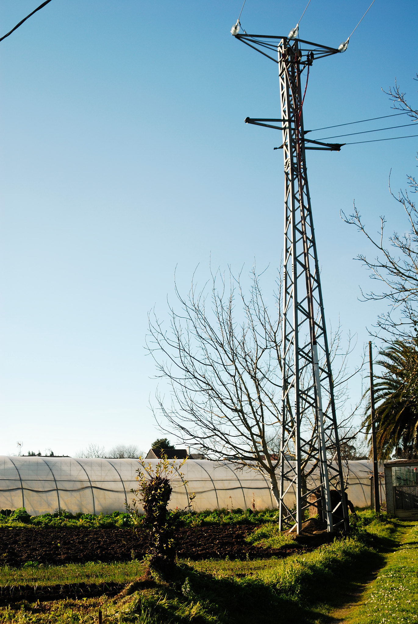 Nikon D200 sample photo. Torreta en el campo photography