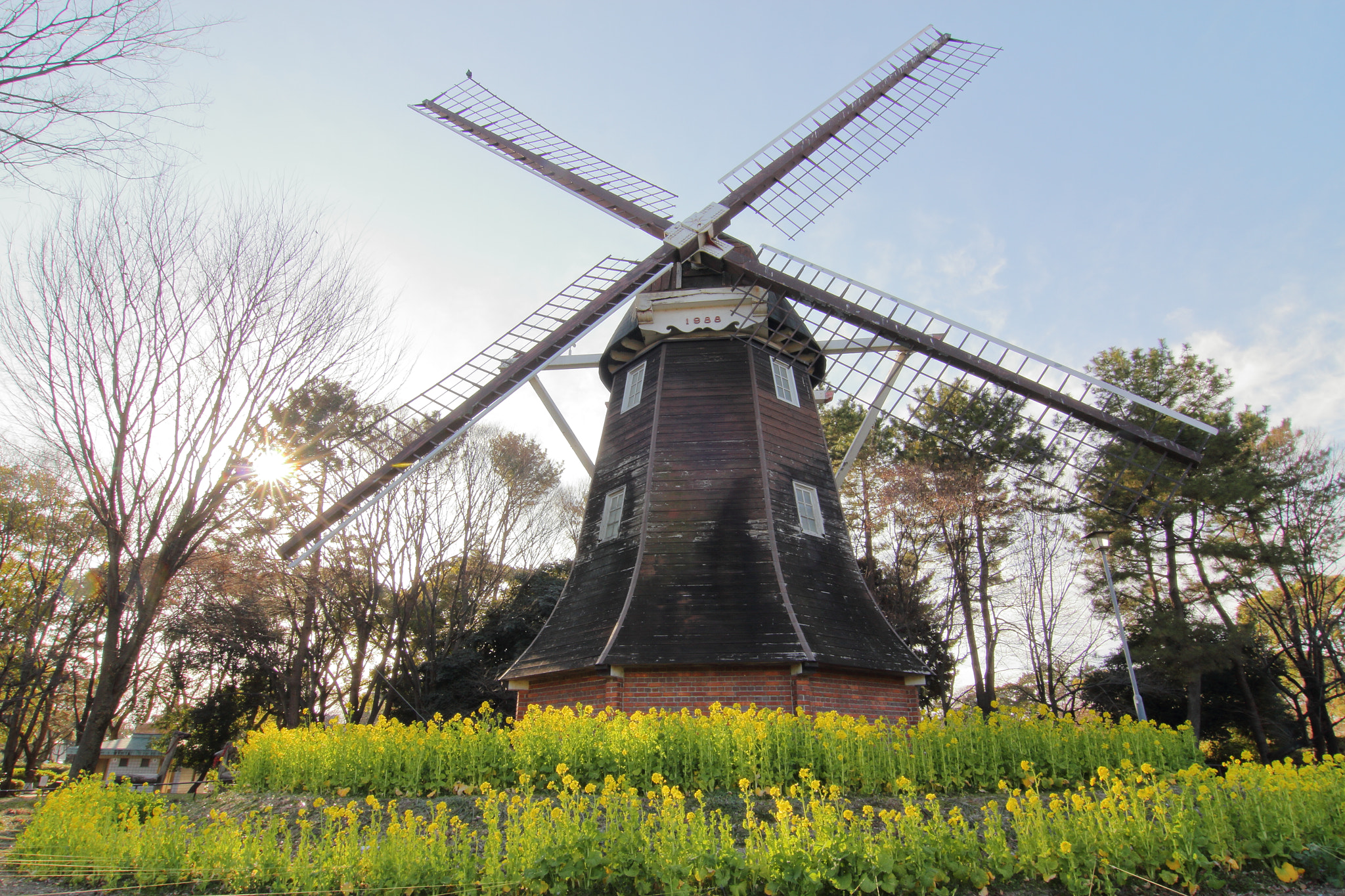 Tokina AT-X Pro 12-24mm F4 (IF) DX sample photo. Meijo koen photography