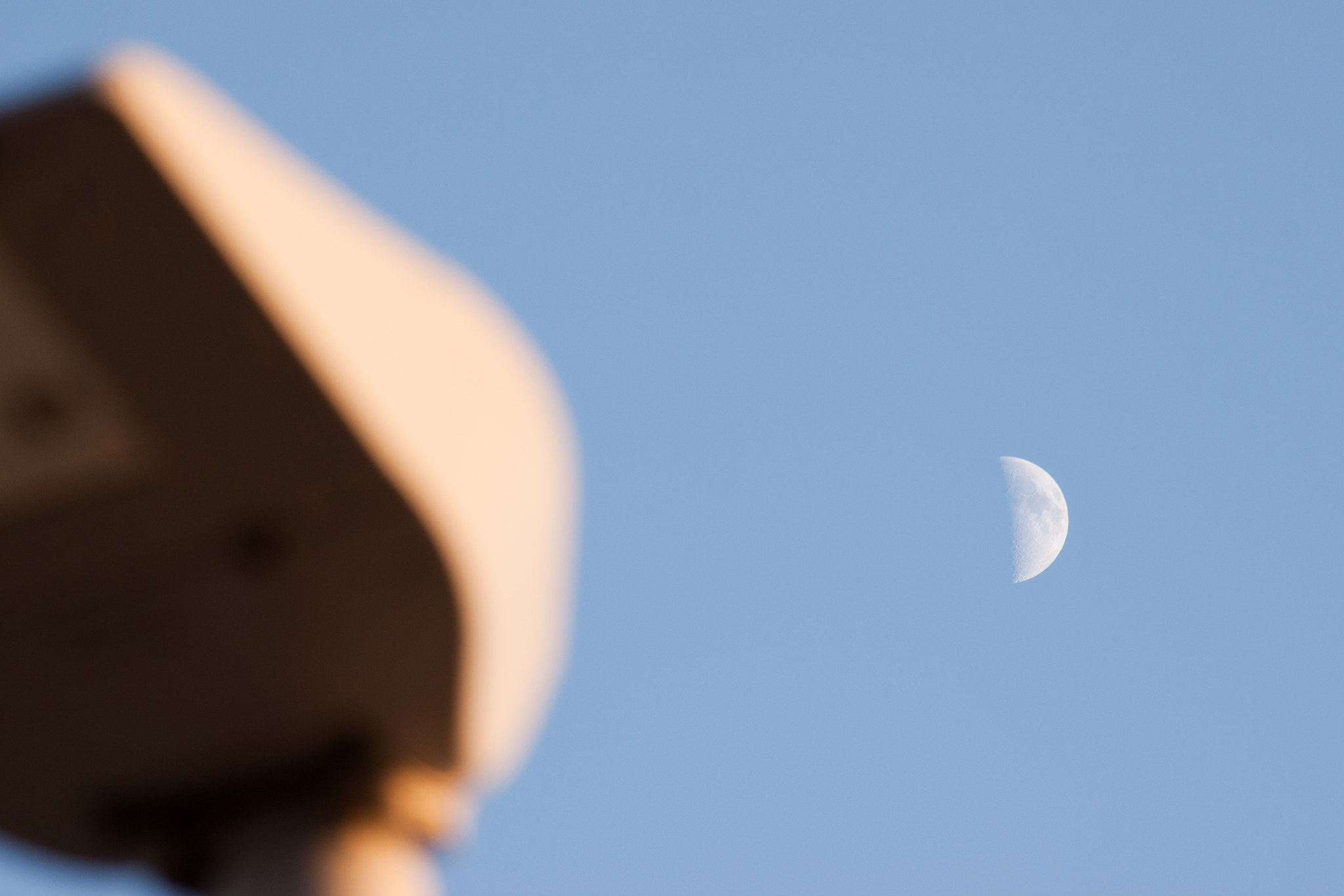 Canon EF-S 55-250mm F4-5.6 IS sample photo. The moon watcher photography