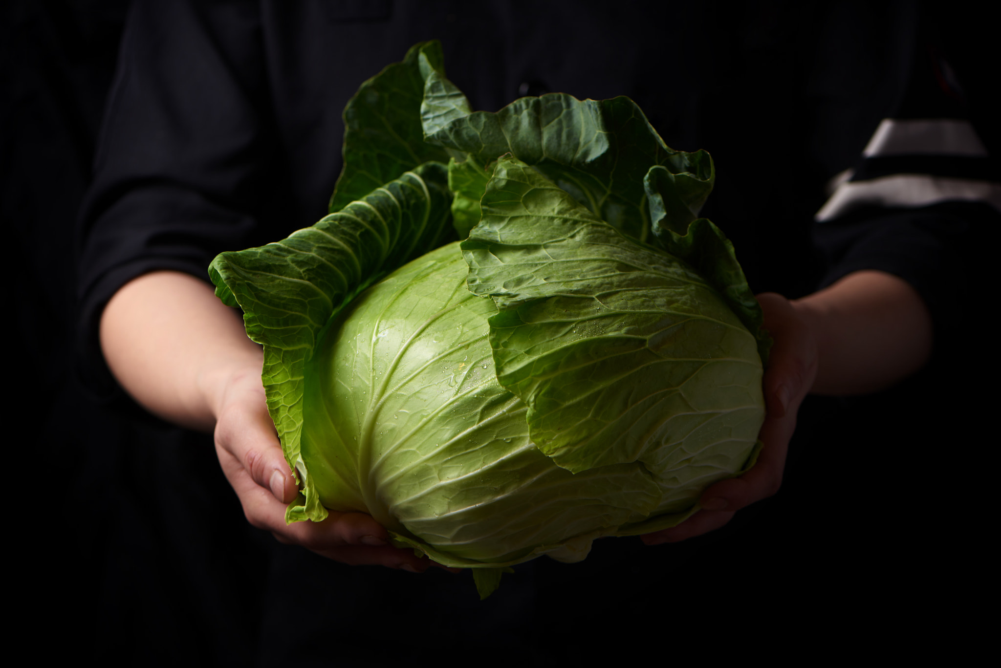 Nikon D810 sample photo. Fresh cabbage photography