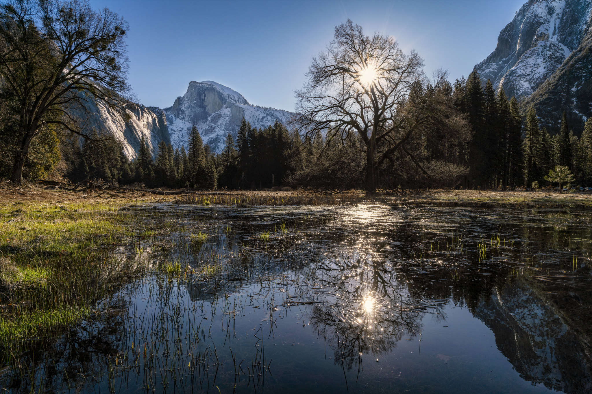 Sony a99 II sample photo. Half dome, lone tree and the sun photography