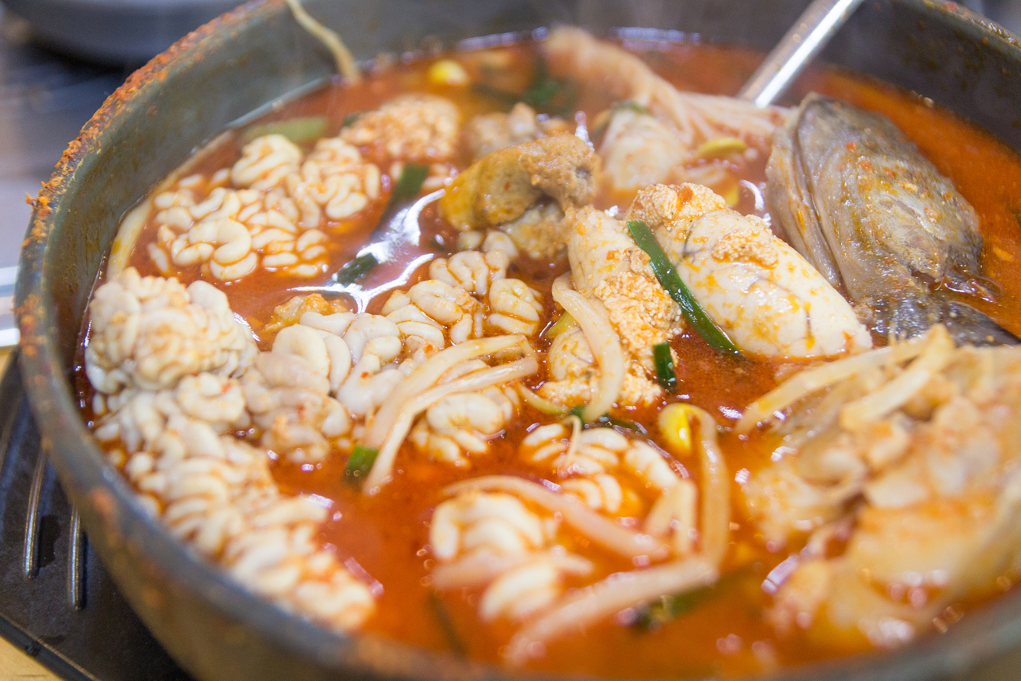 Tamron SP AF 17-50mm F2.8 XR Di II LD Aspherical (IF) sample photo. Spicy fish intestine soup. photography