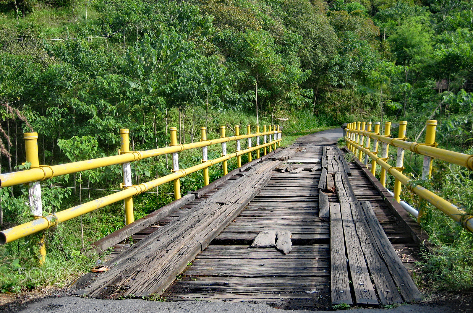 Canon DIGITAL IXUS 50 sample photo. A jungle bridge in bali photography