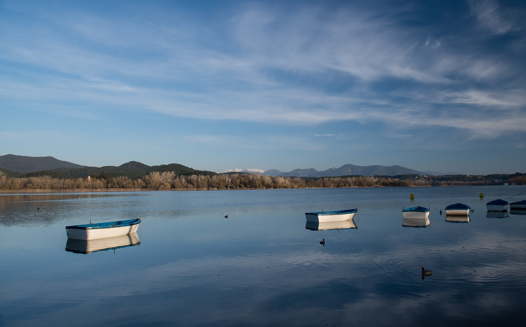 Nikon D5 sample photo. Las barcas del estanque de banyoles photography